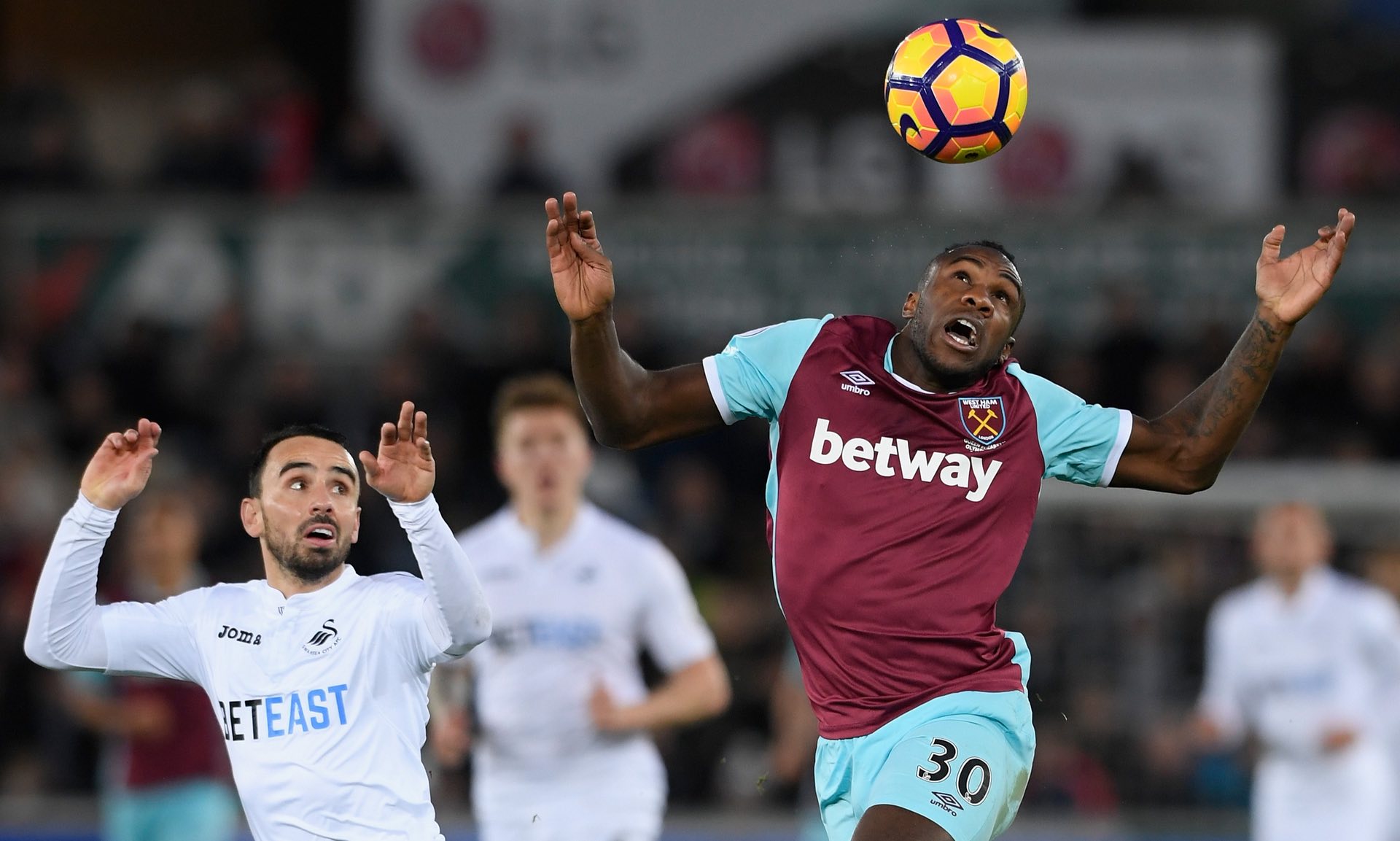 到了志愿服 到了志愿服